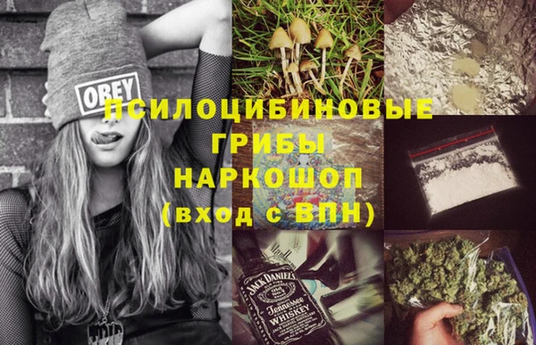 mix Алексин