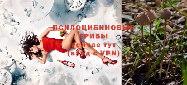 не бодяженный Алзамай