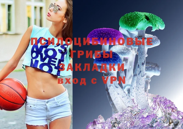 mix Алексин