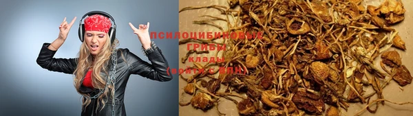 не бодяженный Алзамай