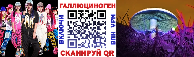 Псилоцибиновые грибы MAGIC MUSHROOMS Осташков